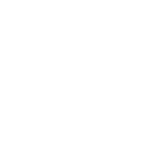 Singles Day 2024